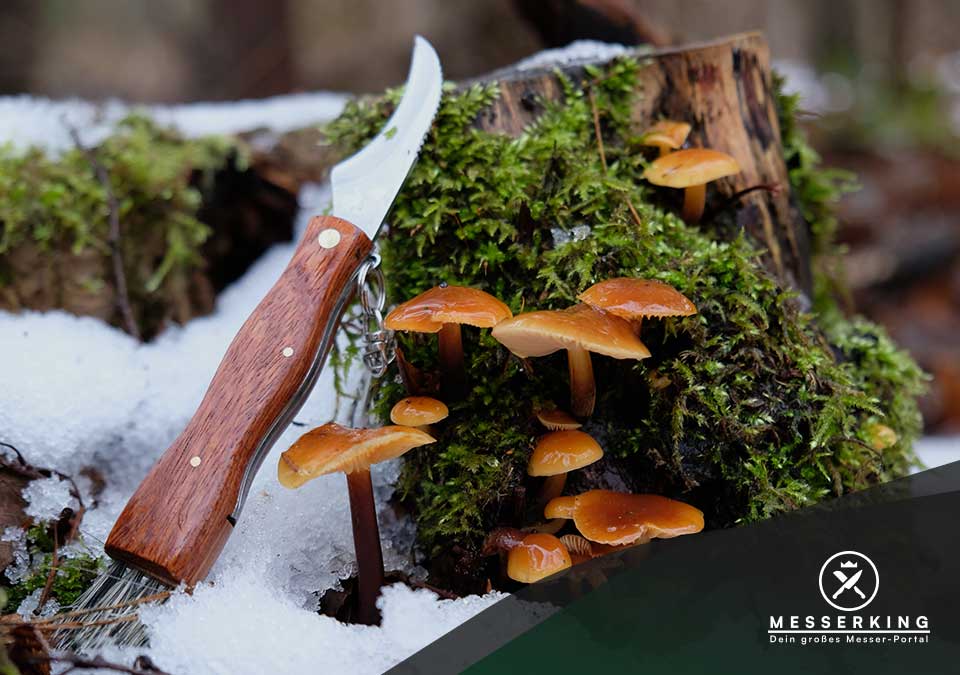 Pilzmesser liegt neben Pilzen in winterlicher Landschaft im Wald